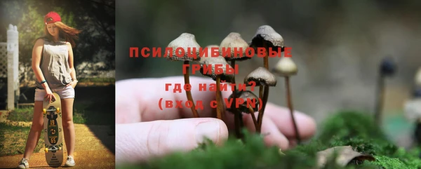 гашиш Новодвинск