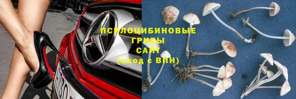 наркотики Новозыбков